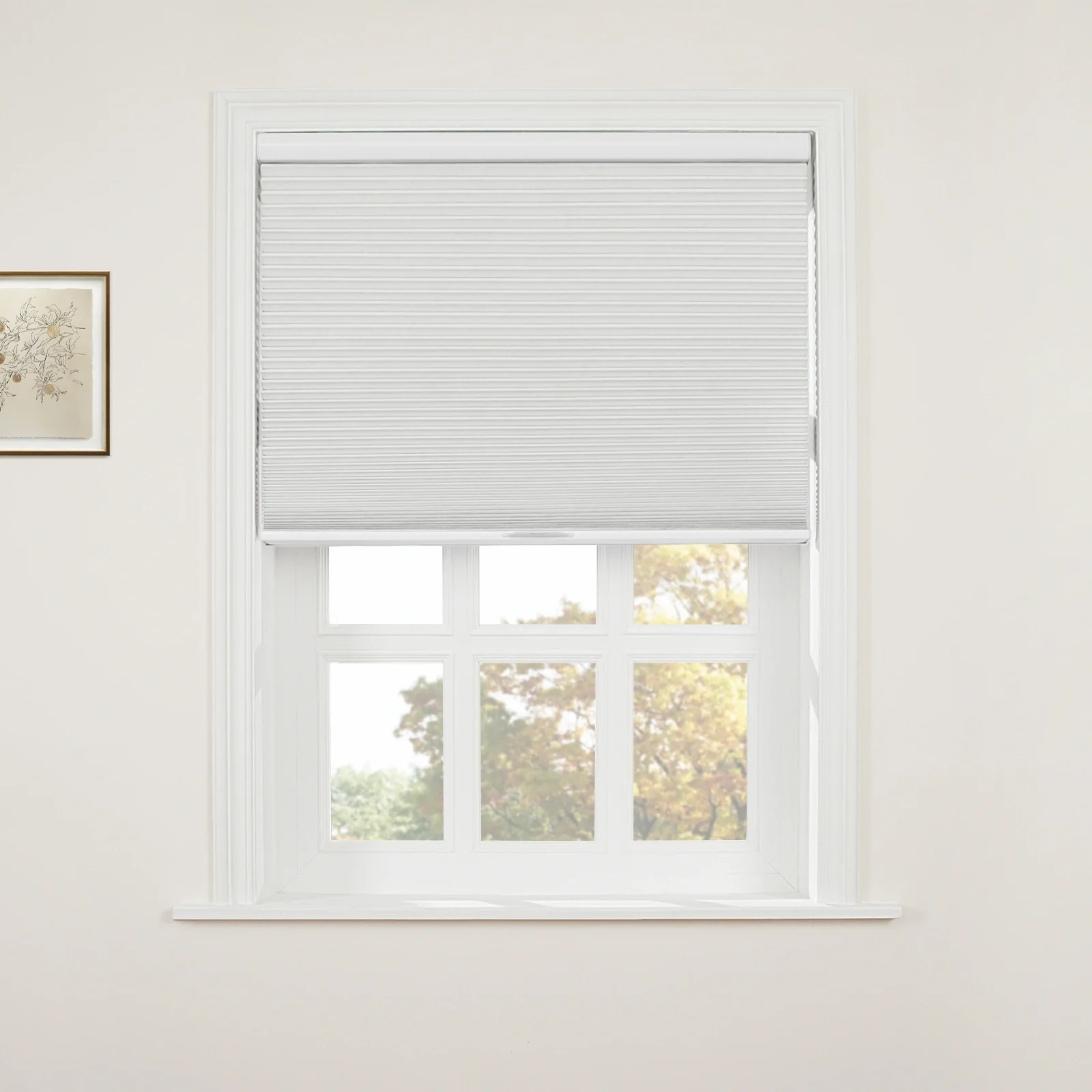 Aura Blackout Cellular Window Shades Cordless - Image 8