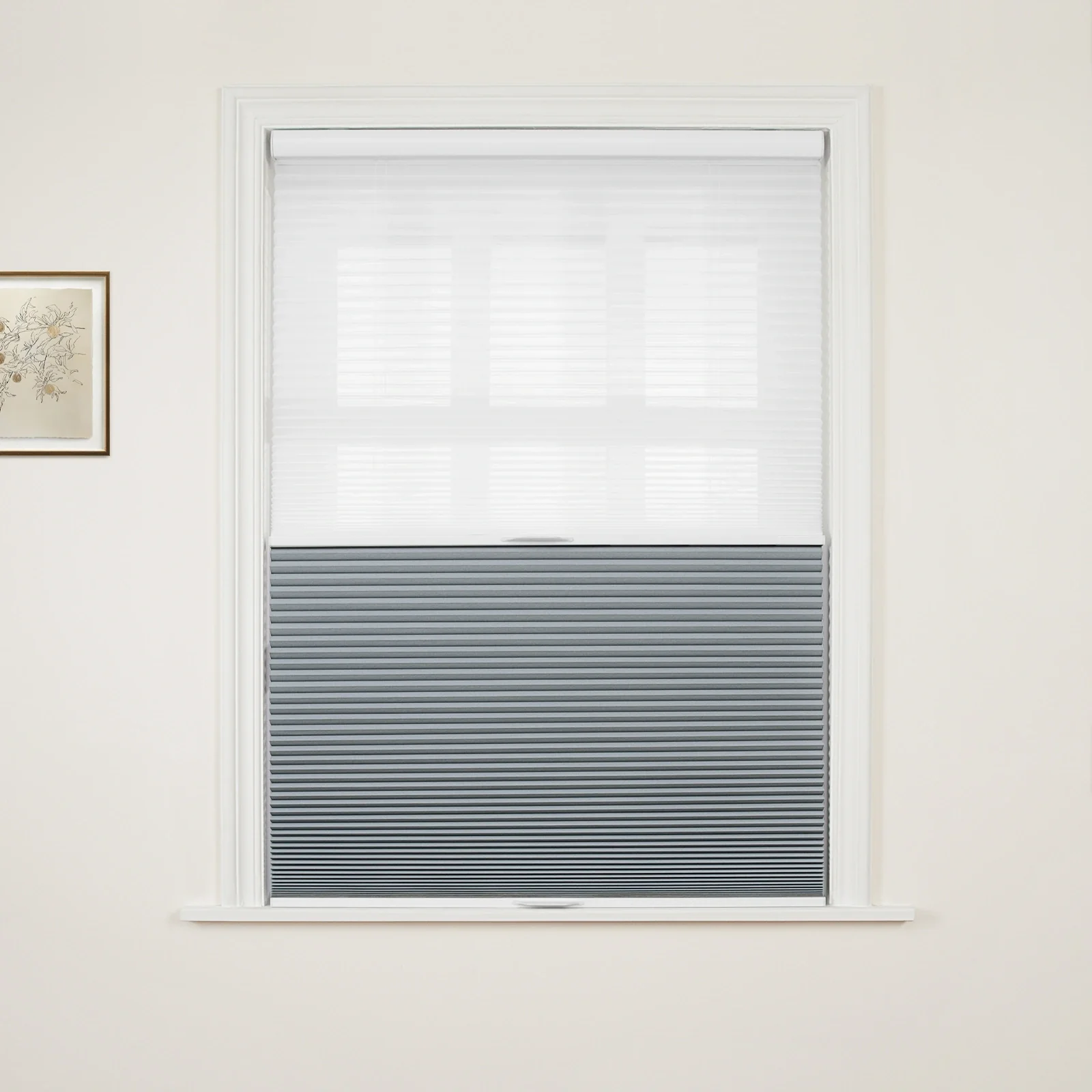 Aura Day Night Blackout Cellular Shades Cordless - Image 21