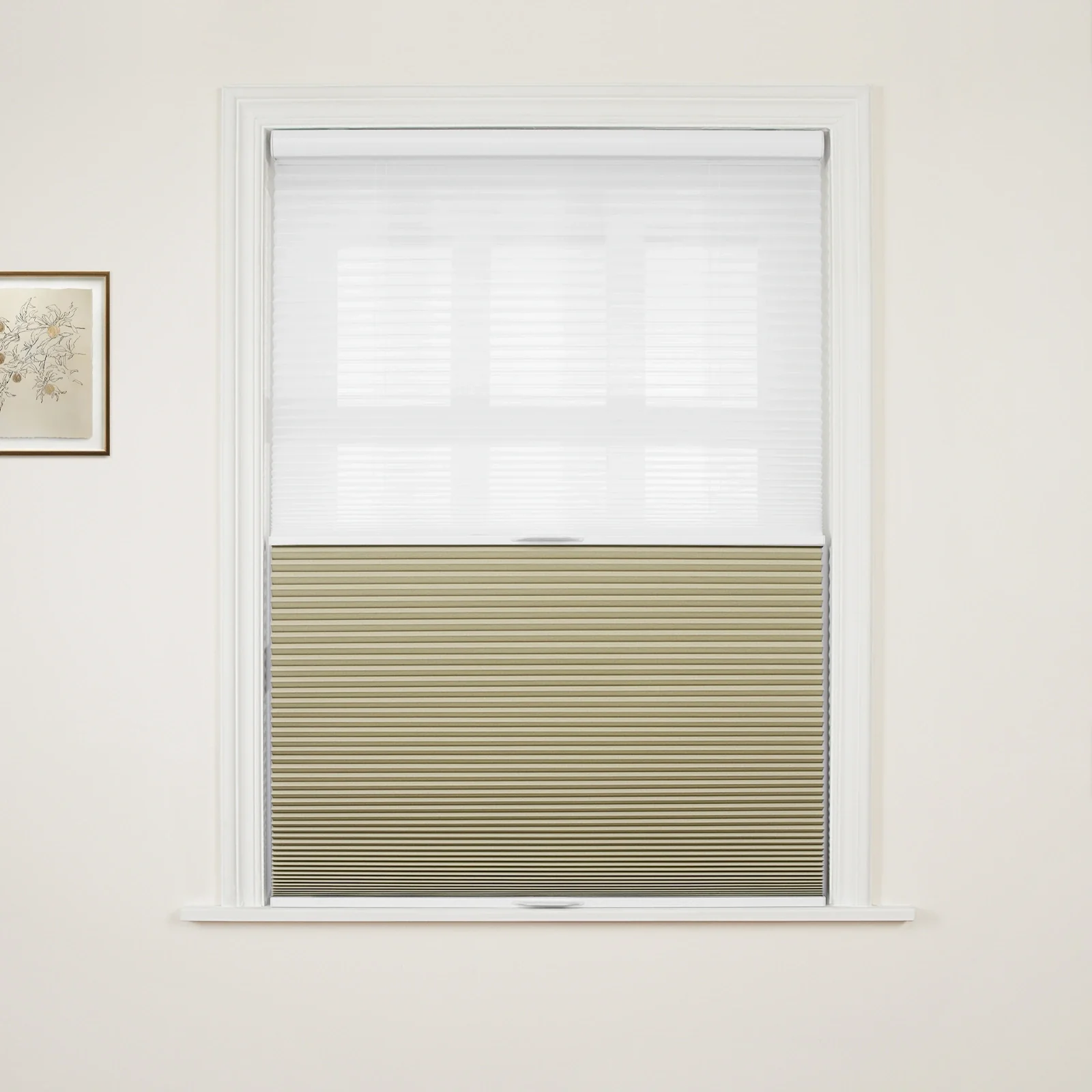 Aura Day Night Blackout Cellular Shades Cordless - Image 33