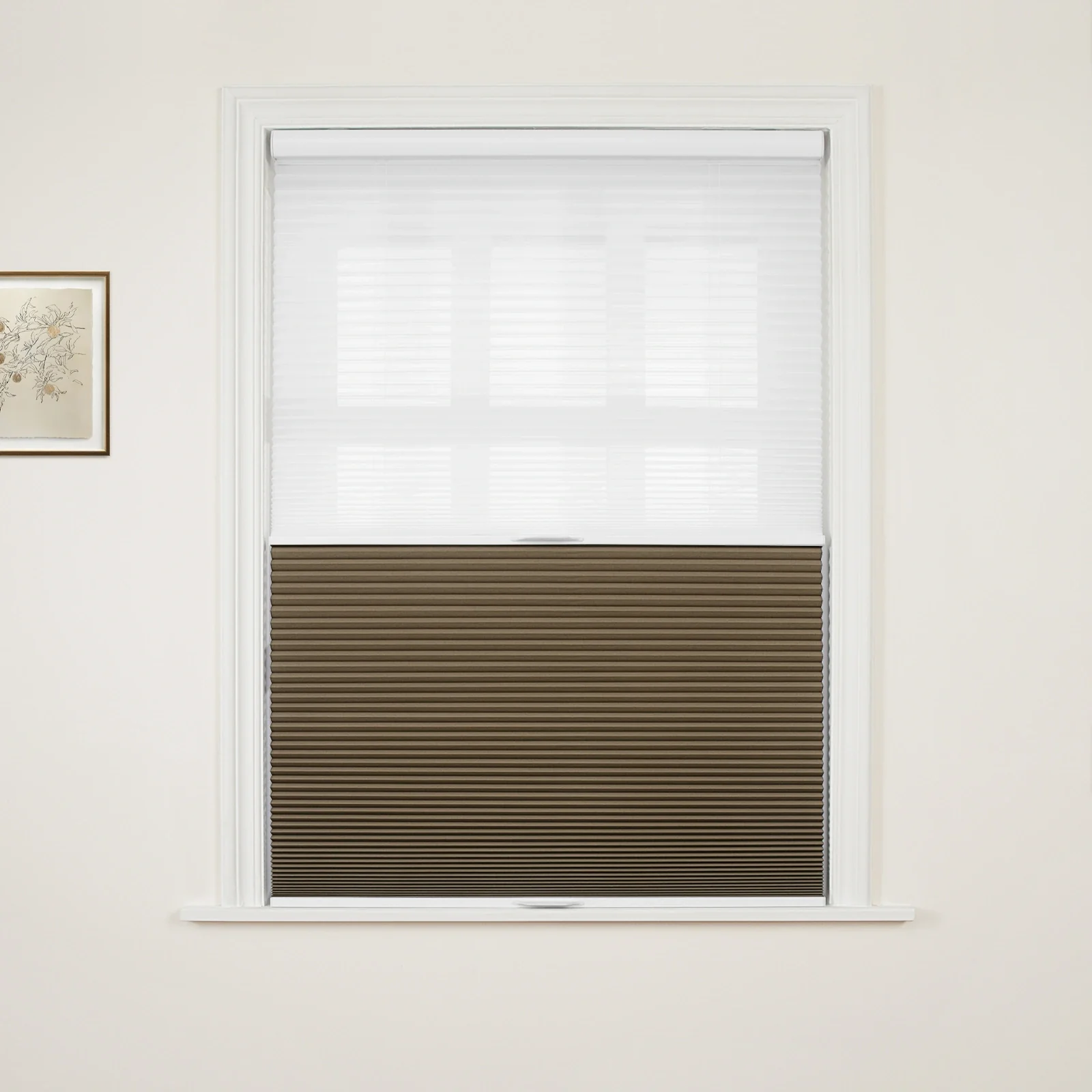 Aura Day Night Blackout Cellular Shades Cordless - Image 39