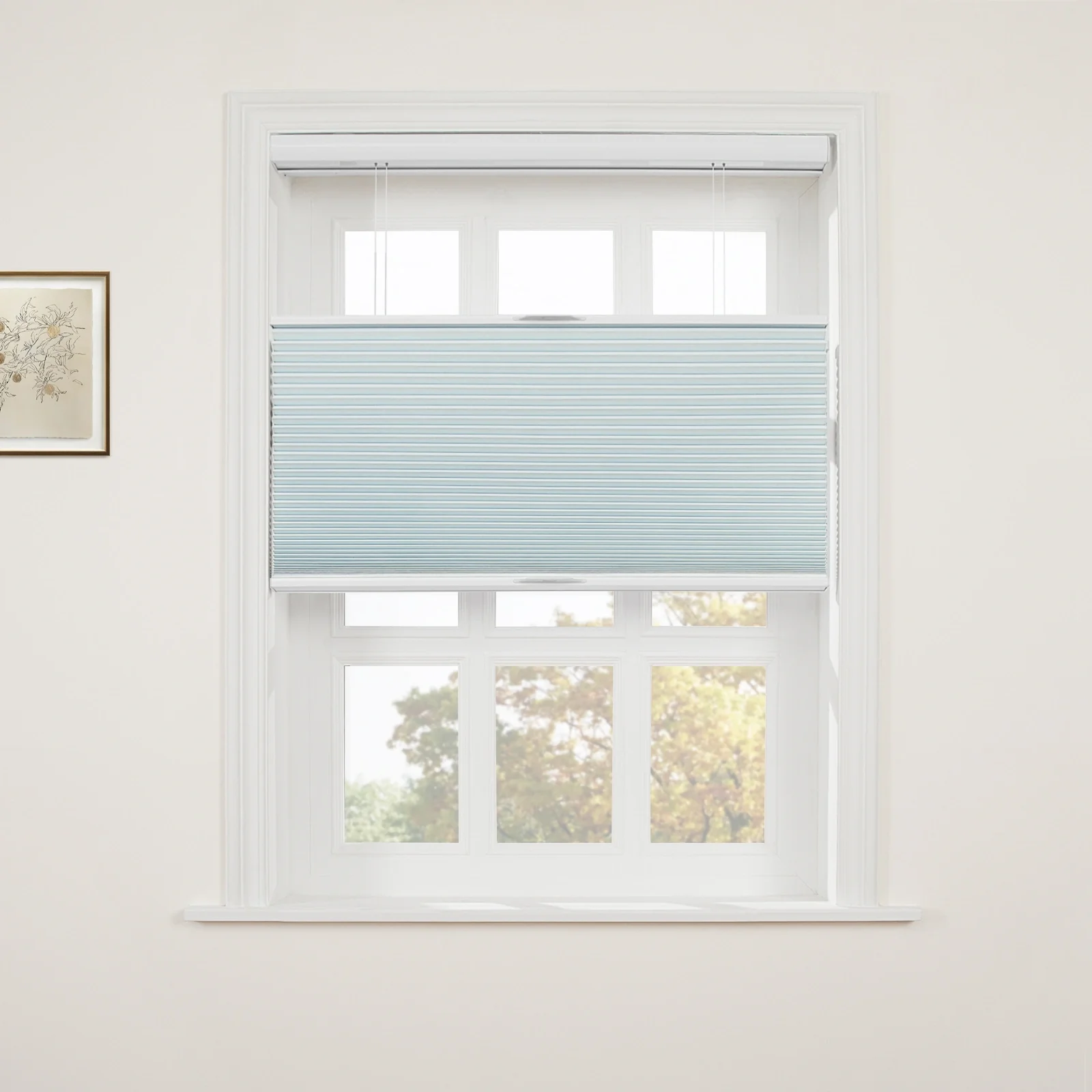 Aura Top Down Bottom Up Blackout Cellular Window Shades Cordless - Image 16