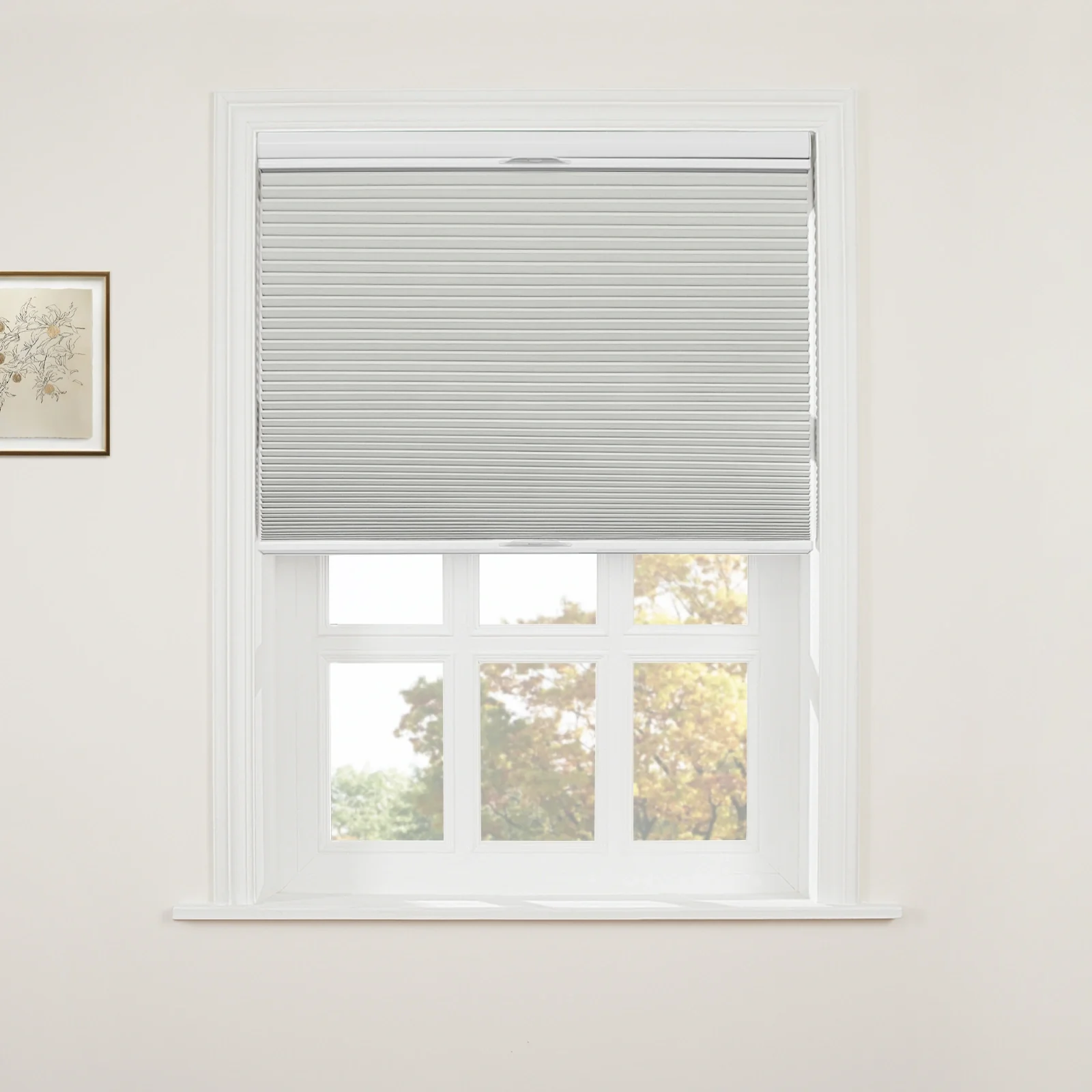 Aura Top Down Bottom Up Blackout Cellular Window Shades Cordless - Image 19