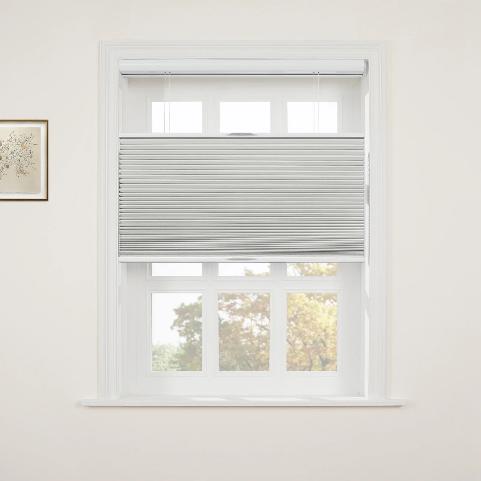 Aura Top Down Bottom Up Blackout Cellular Window Shades Cordless - Image 24