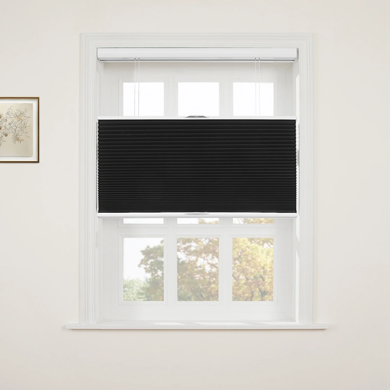 Aura Top Down Bottom Up Blackout Cellular Window Shades Cordless - Image 39