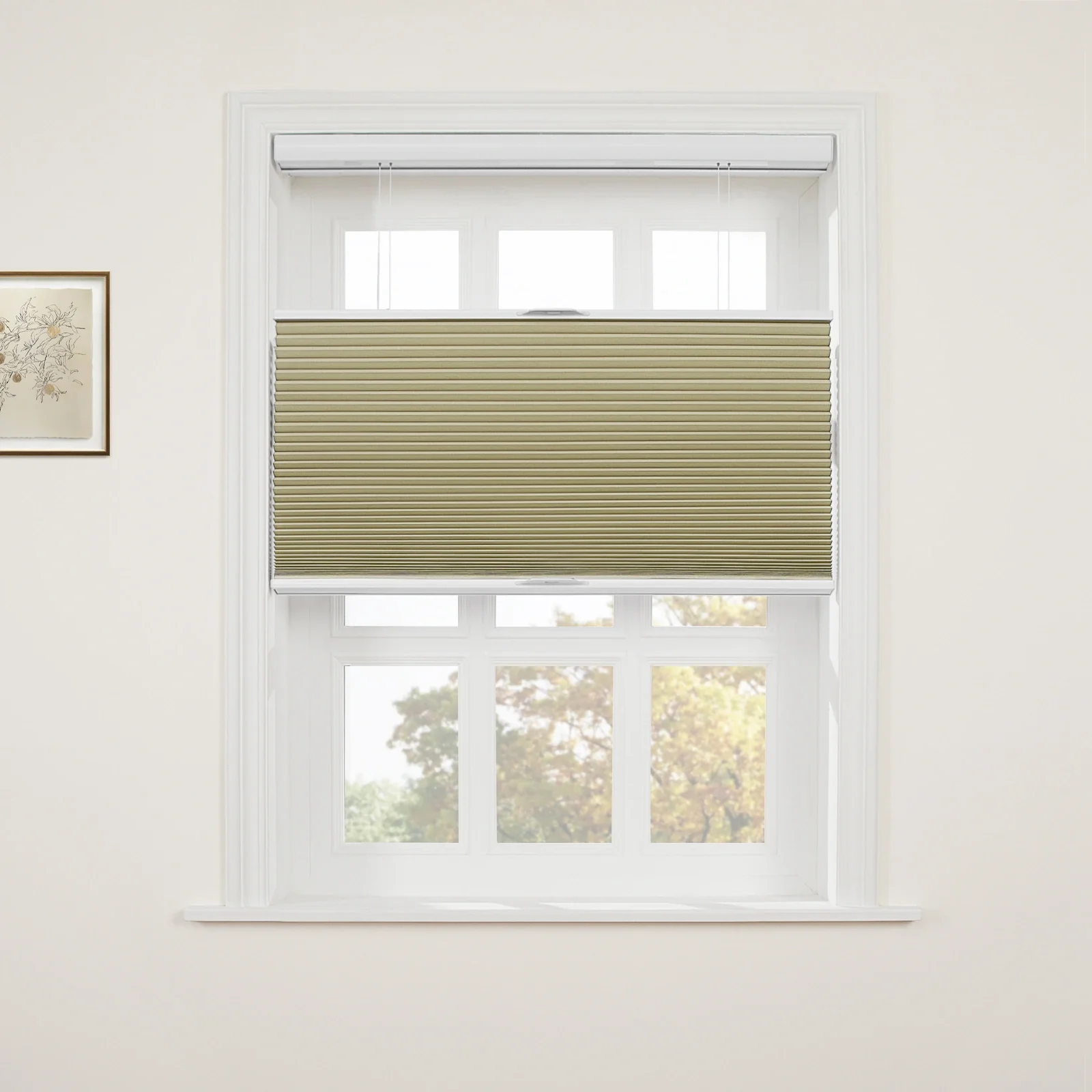Aura Top Down Bottom Up Blackout Cellular Window Shades Cordless - Image 42