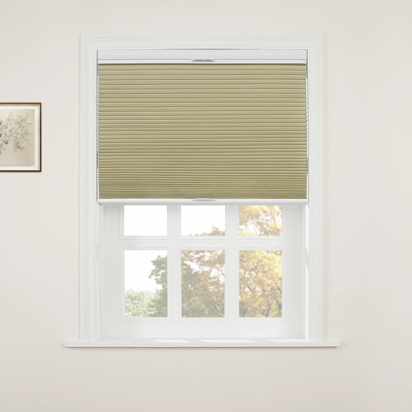 Aura Top Down Bottom Up Blackout Cellular Window Shades Cordless - Image 43