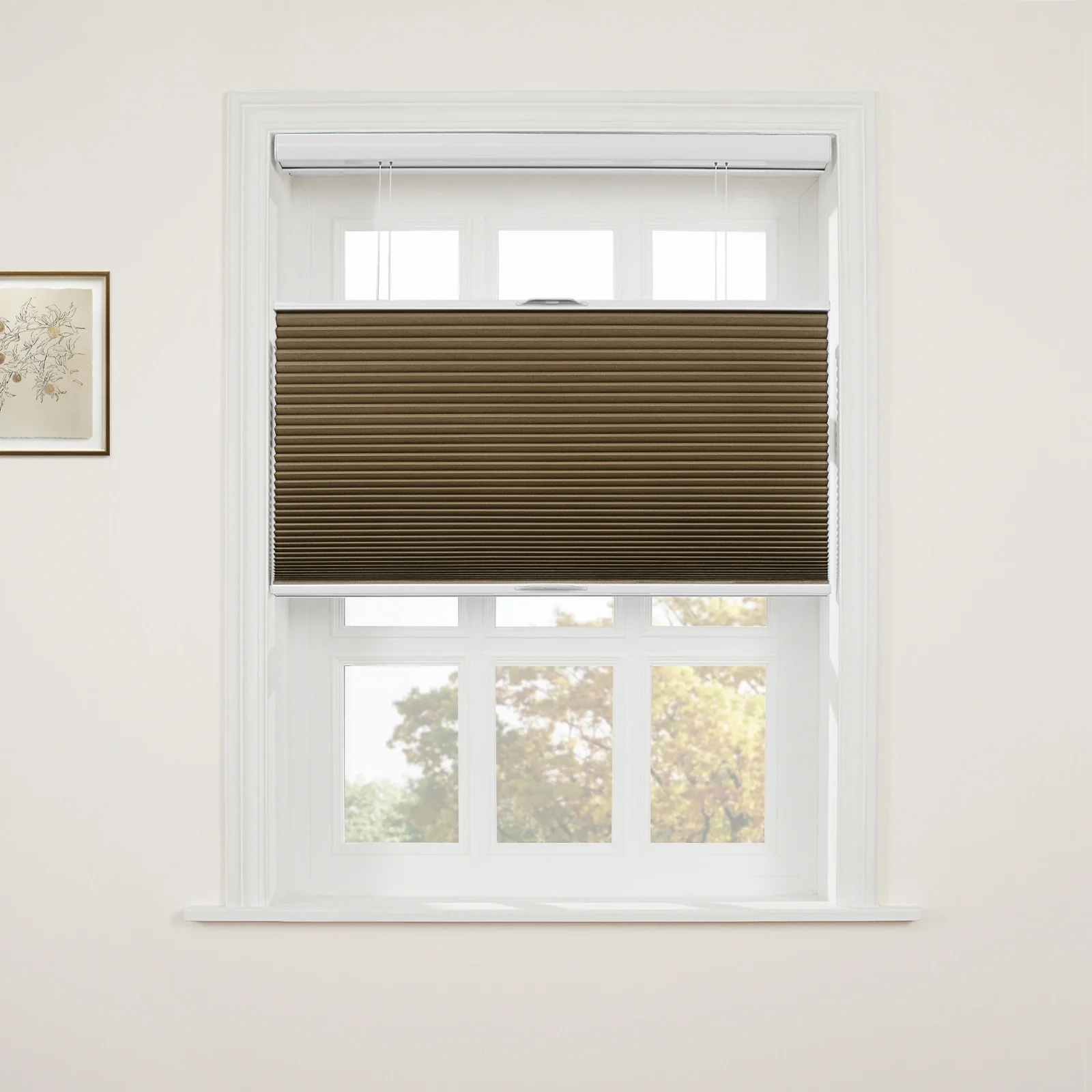 Aura Top Down Bottom Up Blackout Cellular Window Shades Cordless - Image 49