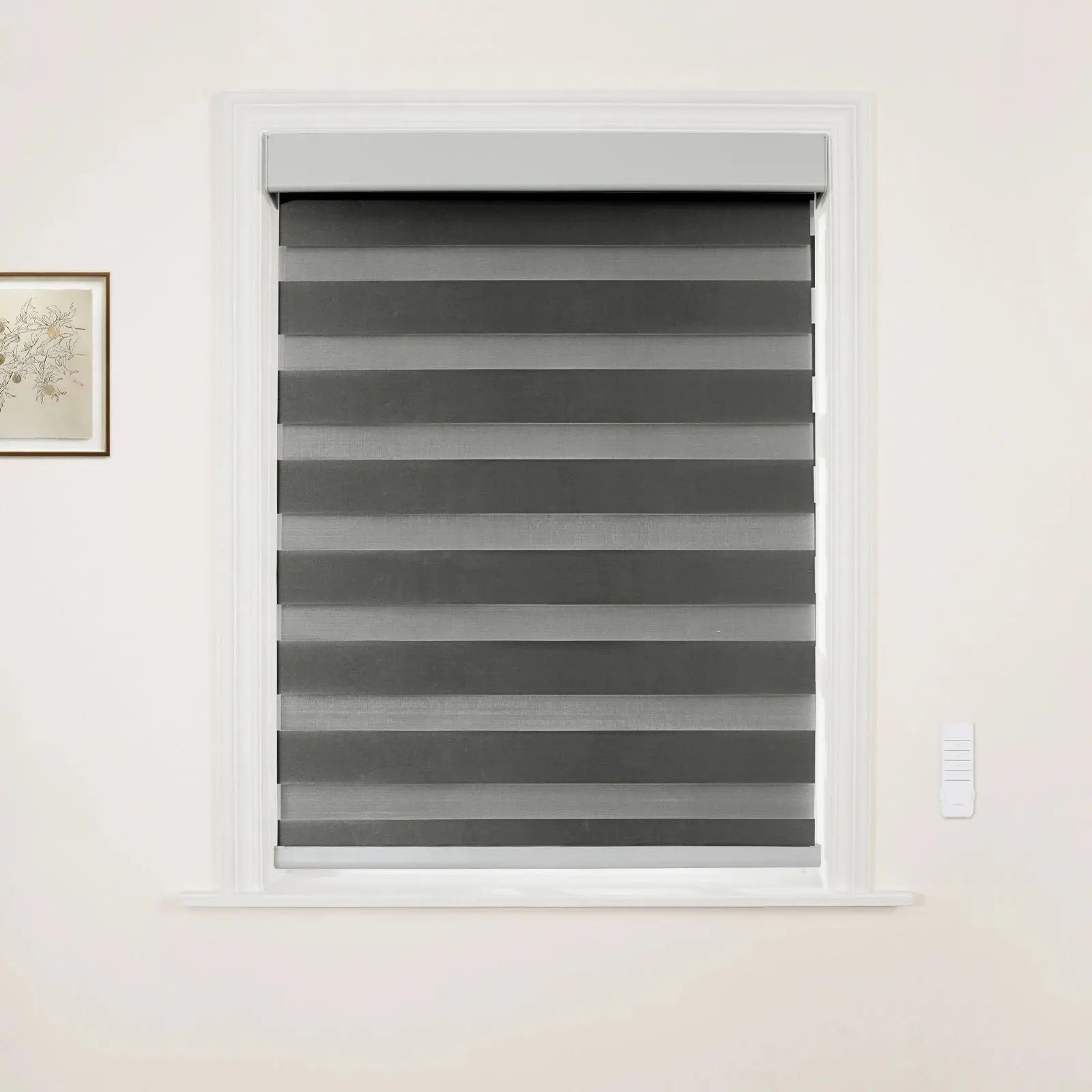 Brio Motorized Blackout Zebra Shade Cordless - Image 22