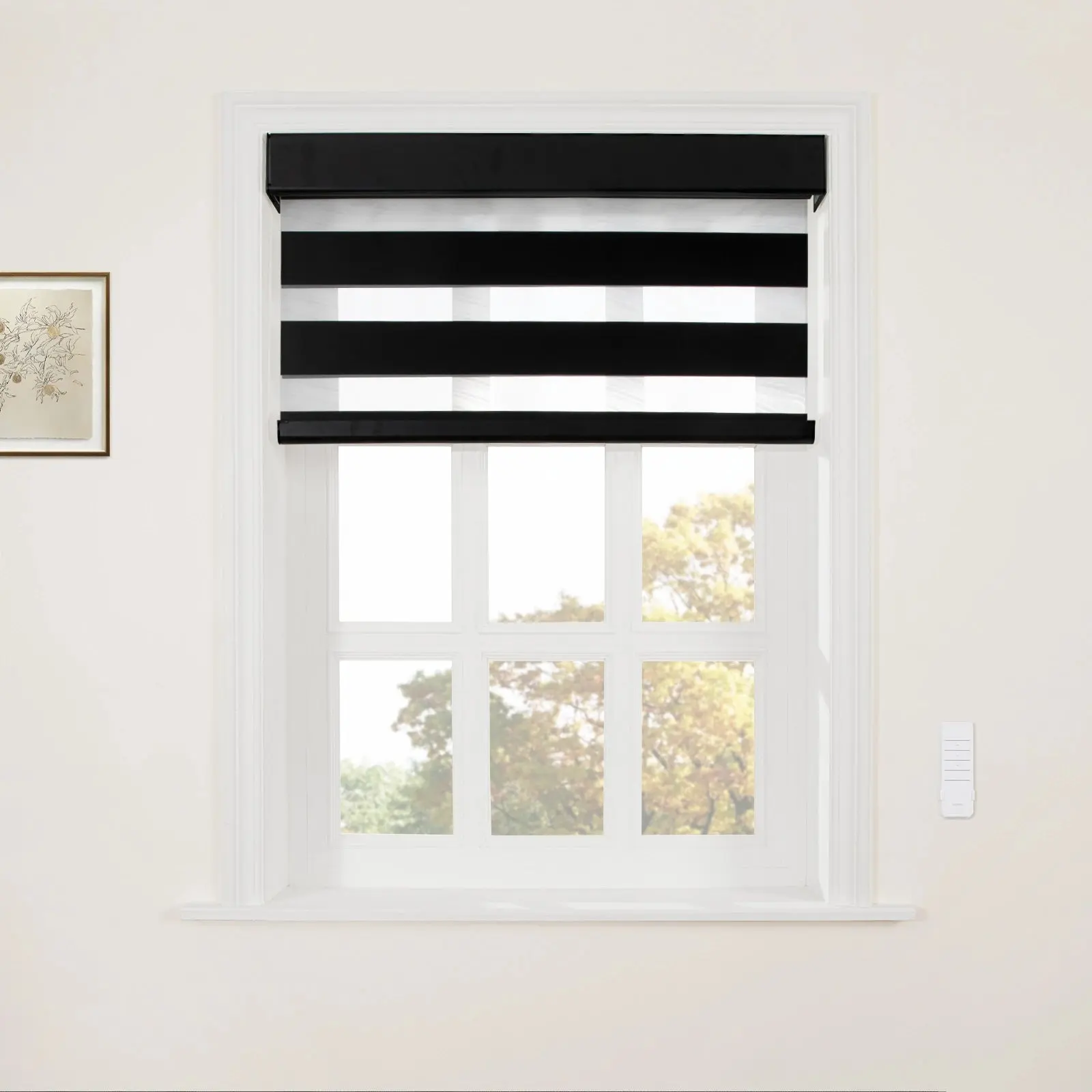 Brio Motorized Blackout Zebra Shade Cordless - Image 26