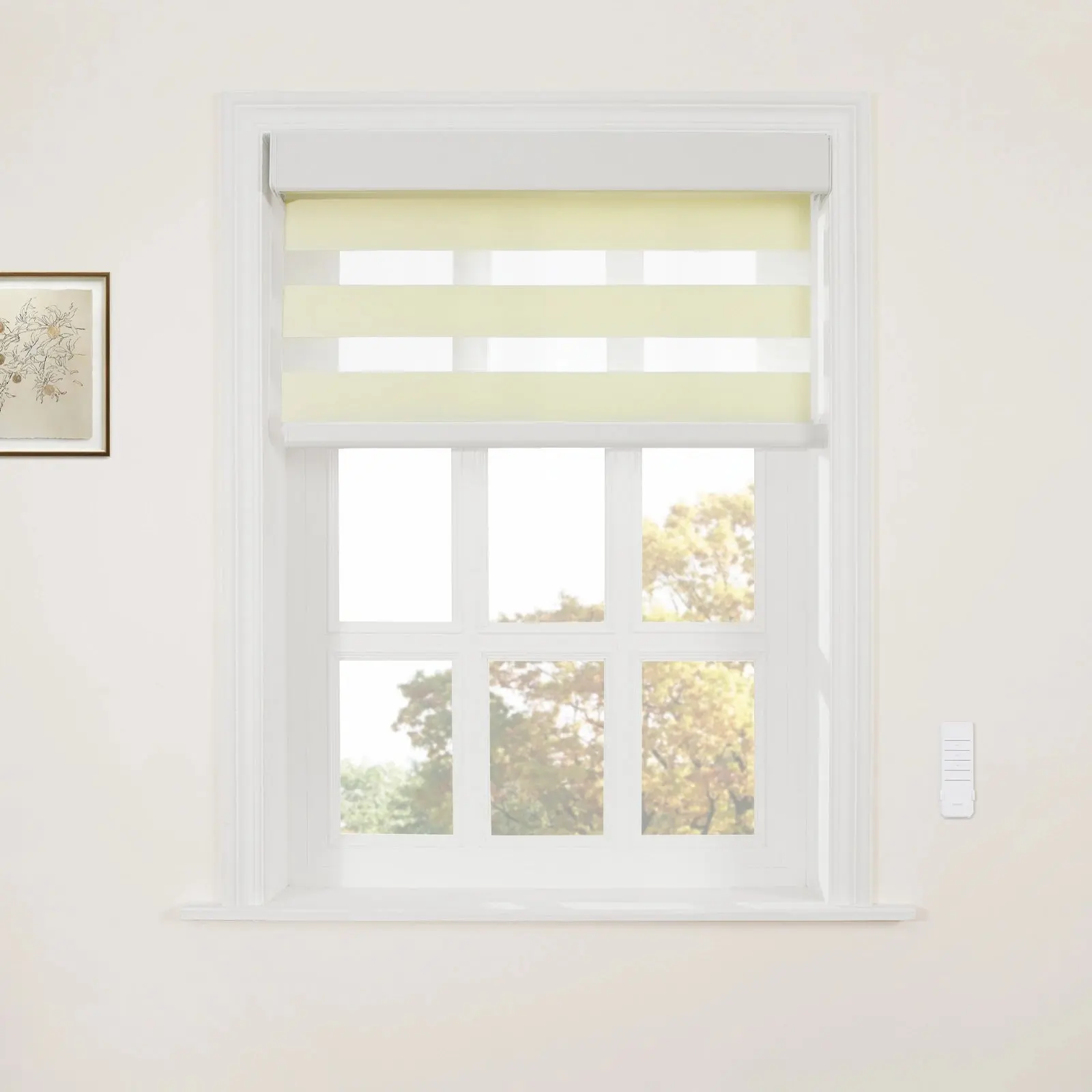 Brio Motorized Blackout Zebra Shade Cordless - Image 8
