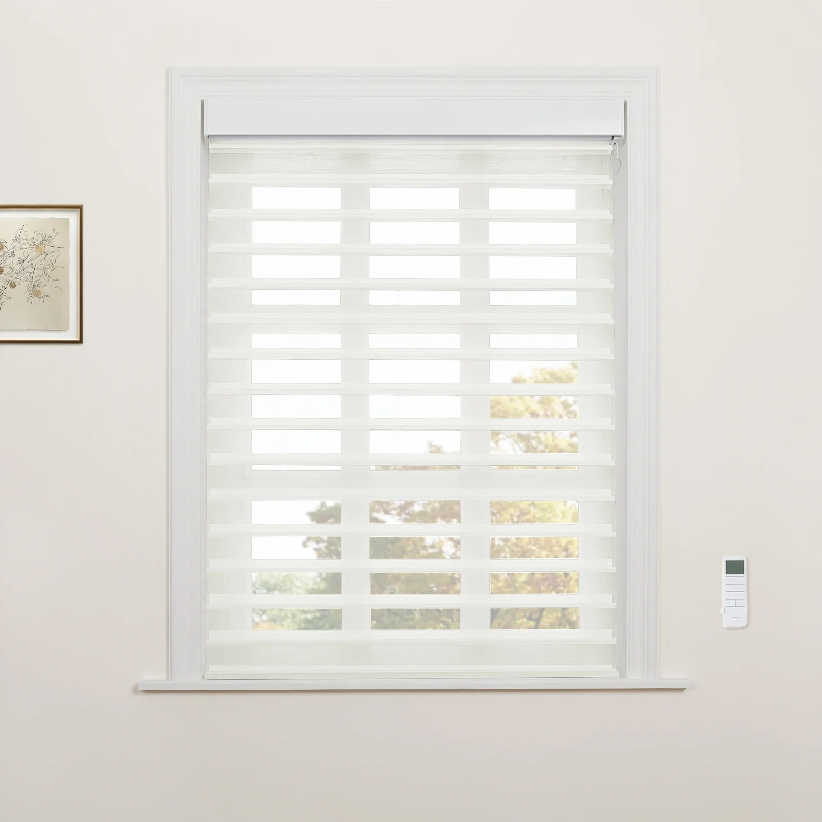 Motorized Shangri-La Light Filtering Sheer Shade - Image 32