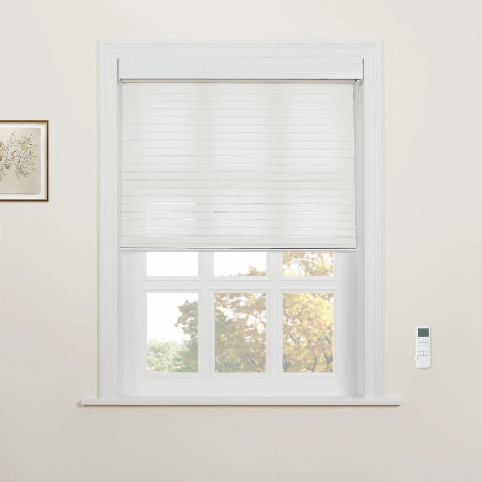 Motorized Shangri-La Light Filtering Sheer Shade - Image 60