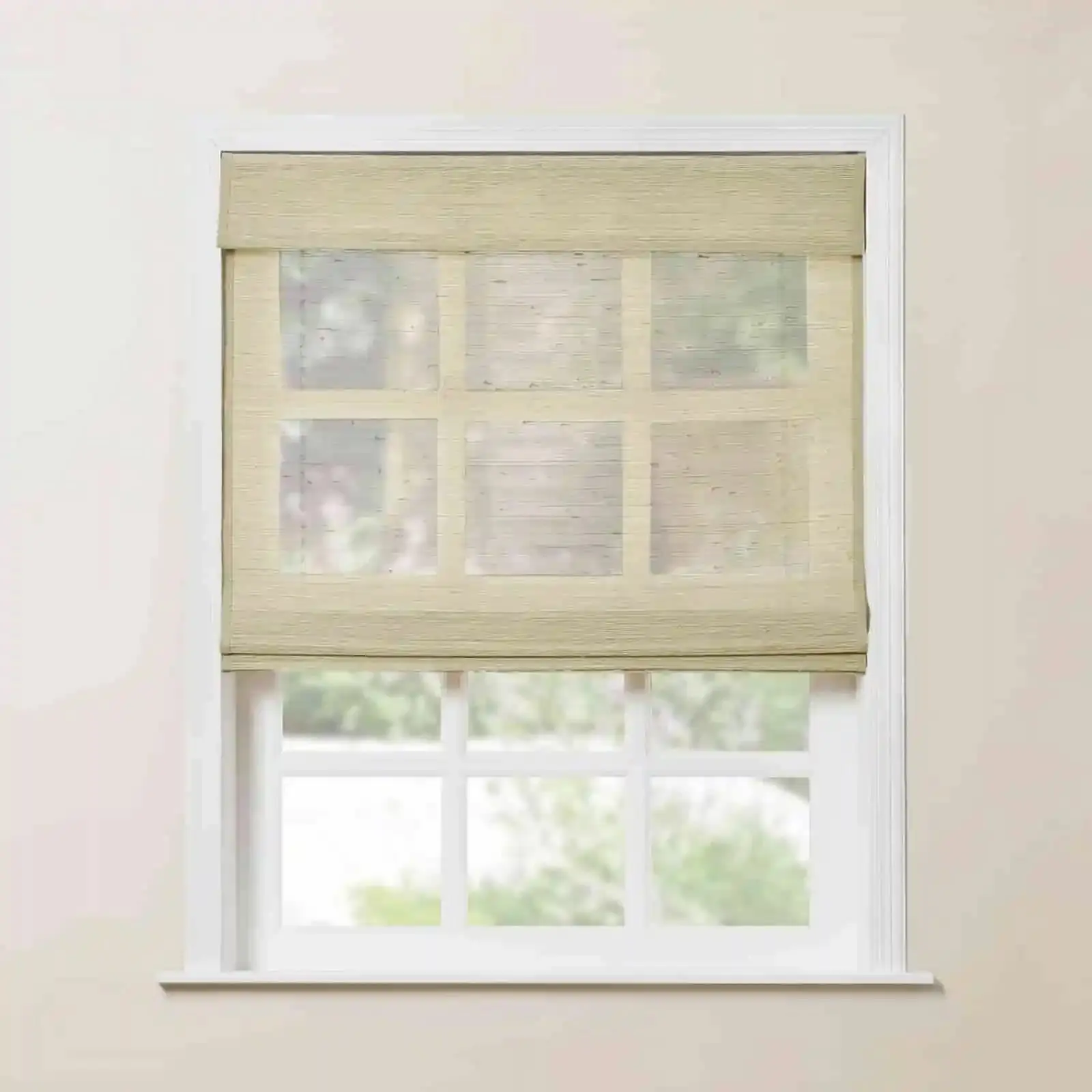 Rae Motorized Window Shades Bamboo Woven - Series P - Image 25