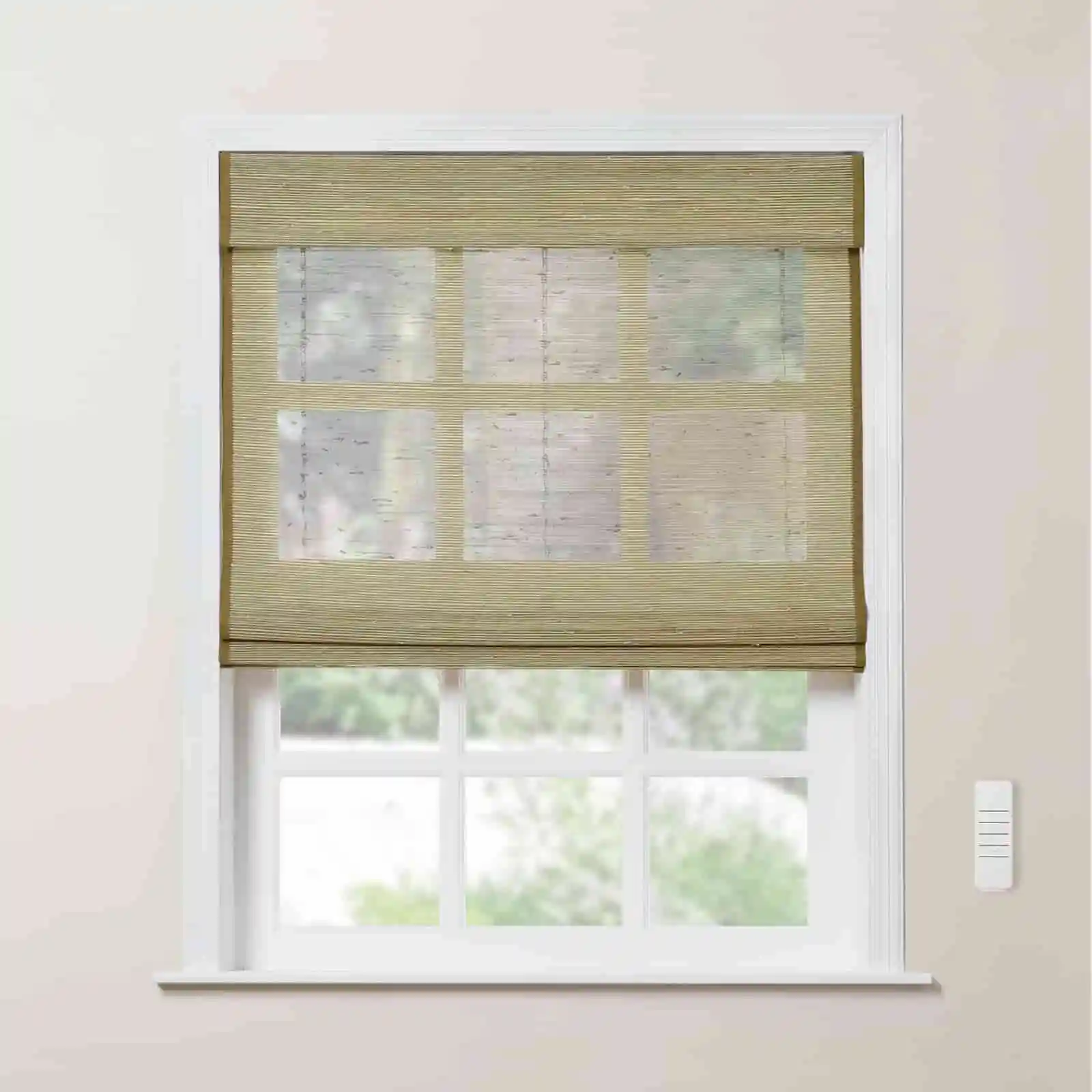 Rae Motorized Window Shades Bamboo Woven - Series P - Image 4