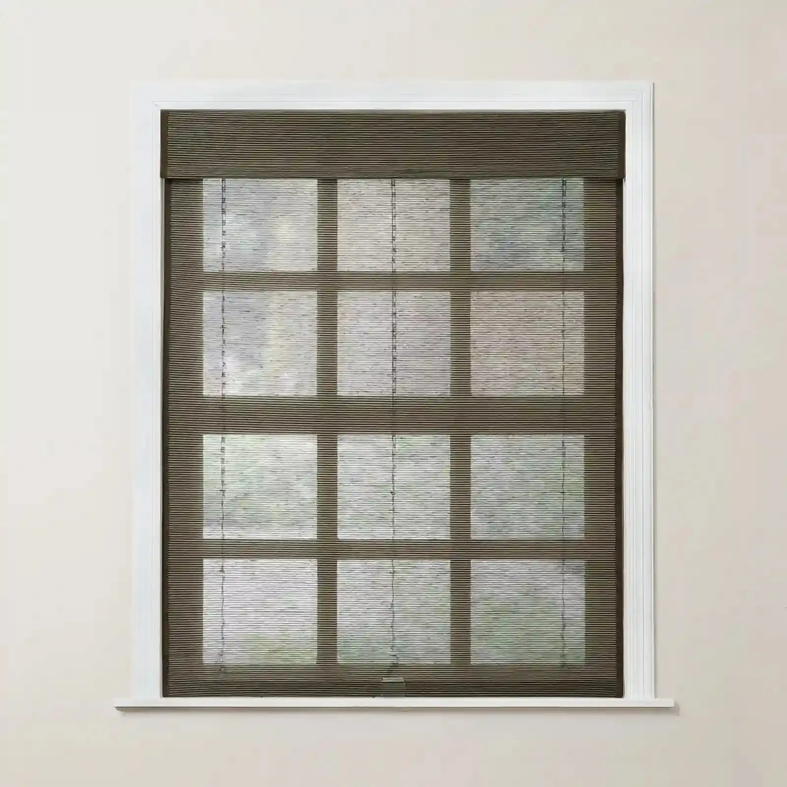 Rae Motorized Window Shades Bamboo Woven - Series P - Image 84