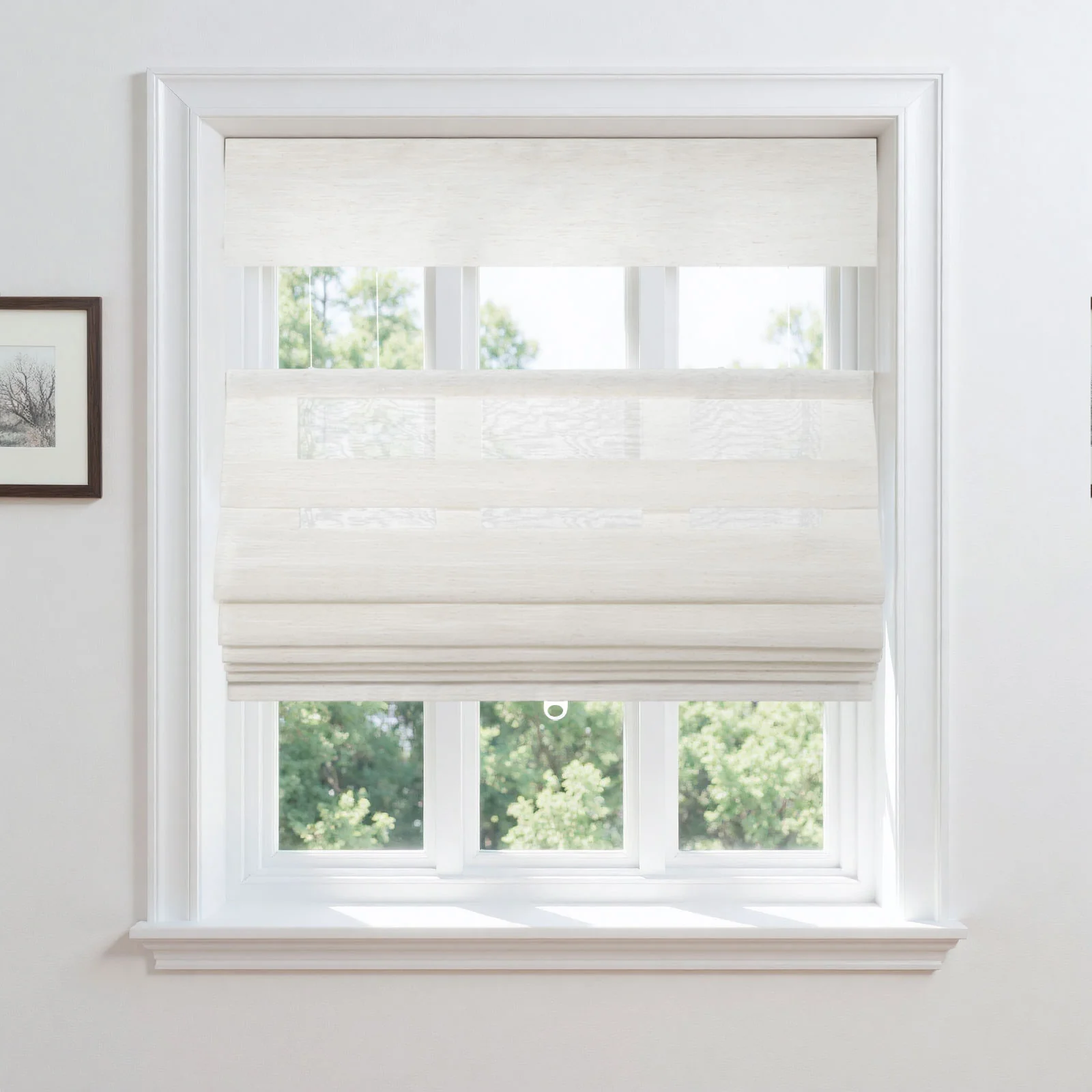 Top Down Bottom Up Soft Fold Sheer Roman Shades Cordless - Image 8